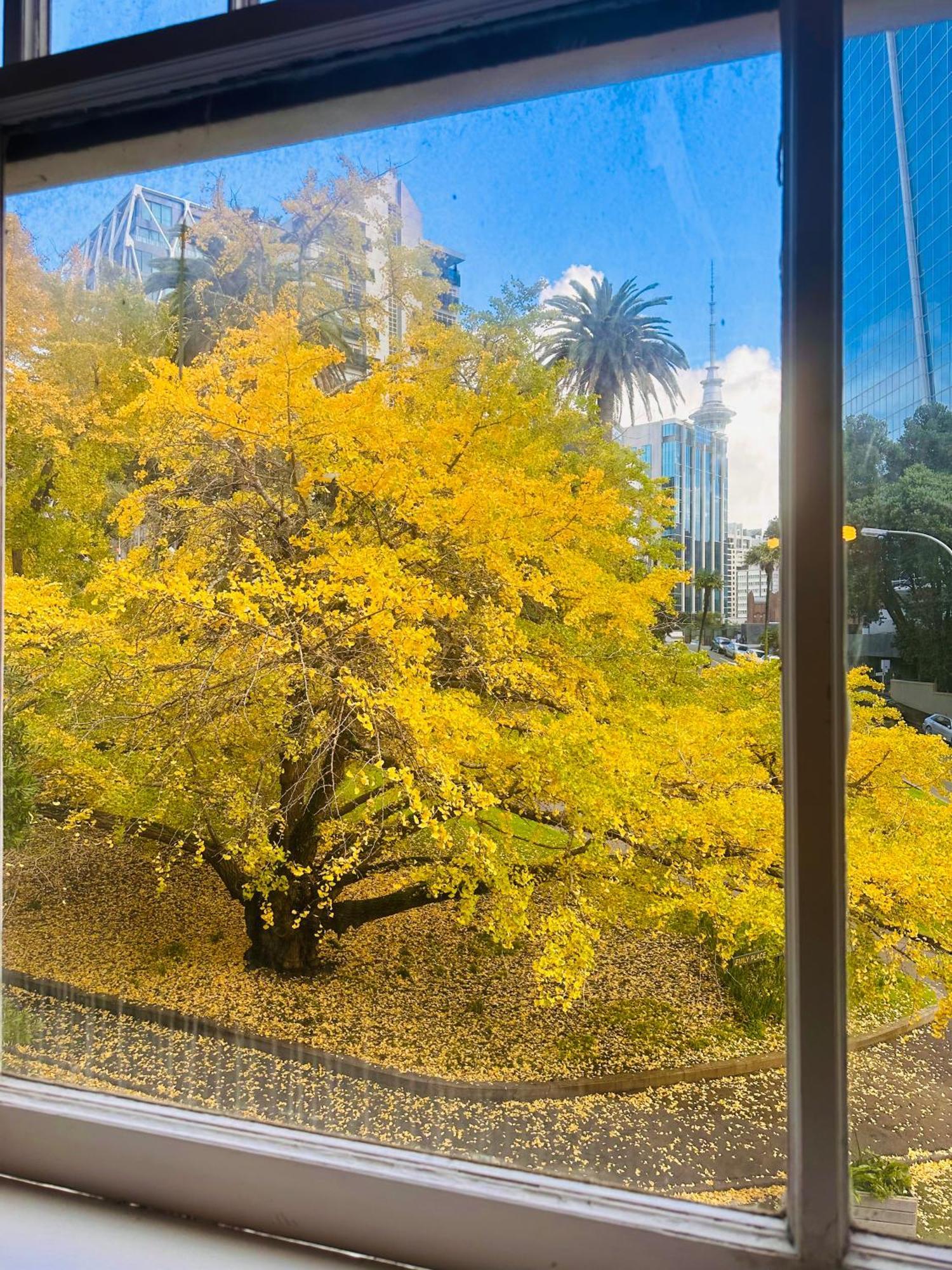 Gamma Hotel Auckland Eksteriør bilde